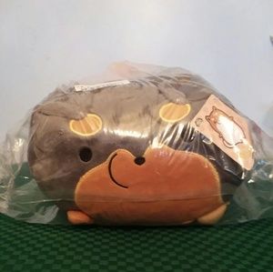 TARUSHIBA TISSUE HOLDER
